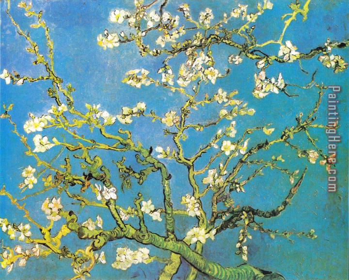 Vincent van Gogh Blossoming Almond-branches